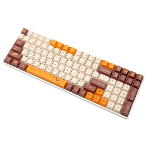 diy-keycaps-Leo-pbt-mechanical-keyboard-keycaps-set