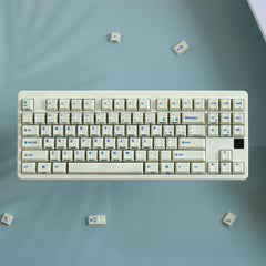 c64-pbt-cherry-profile-keycap