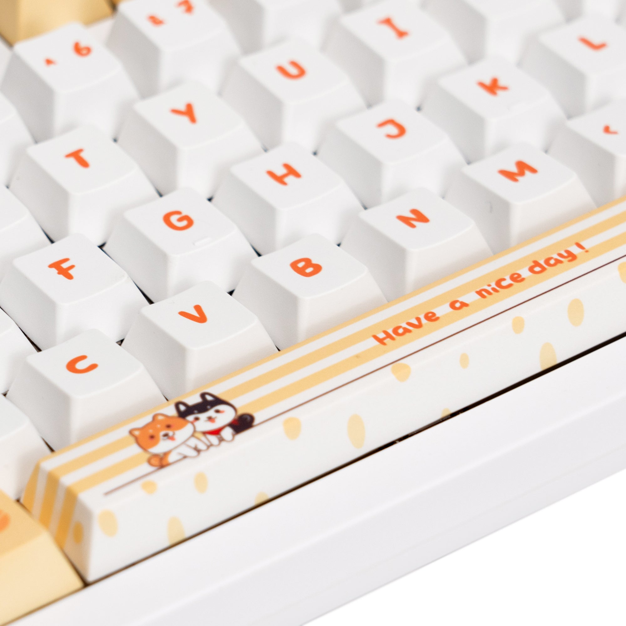 Doggy – KeyGeak