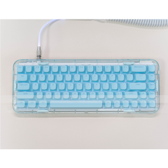 diy-keycaps-oem-pbt-117-keys-pudding-bagged-keycaps-oem-blue-custom-artisan