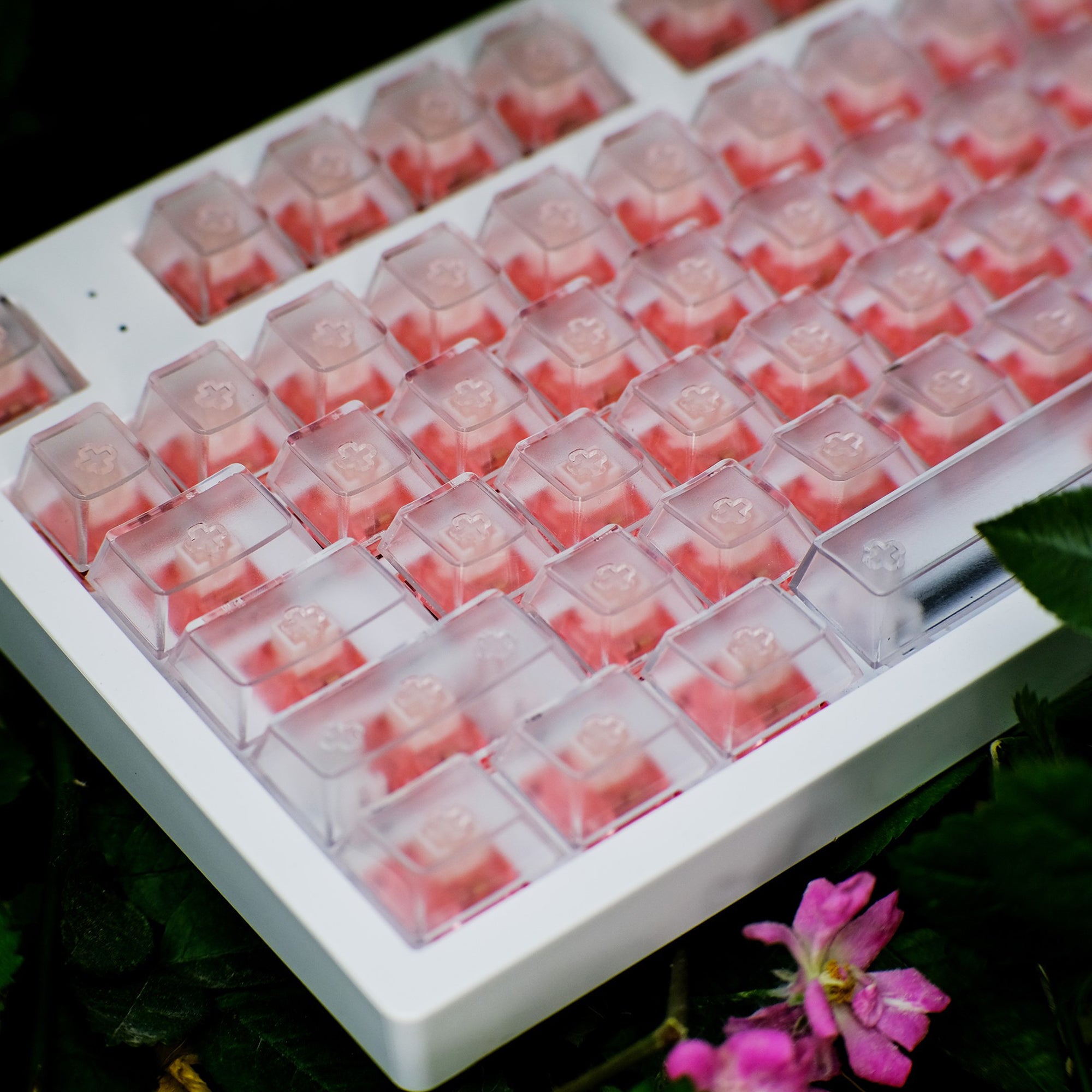 Translucent Key Cap Set Clear/Black Keycap Set (TRANSLUCENT) – KeyGeak