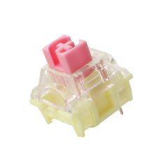 TTC-Golden-Pink-Switches