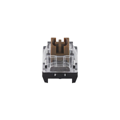 TTC-Silent-Brown-Switches